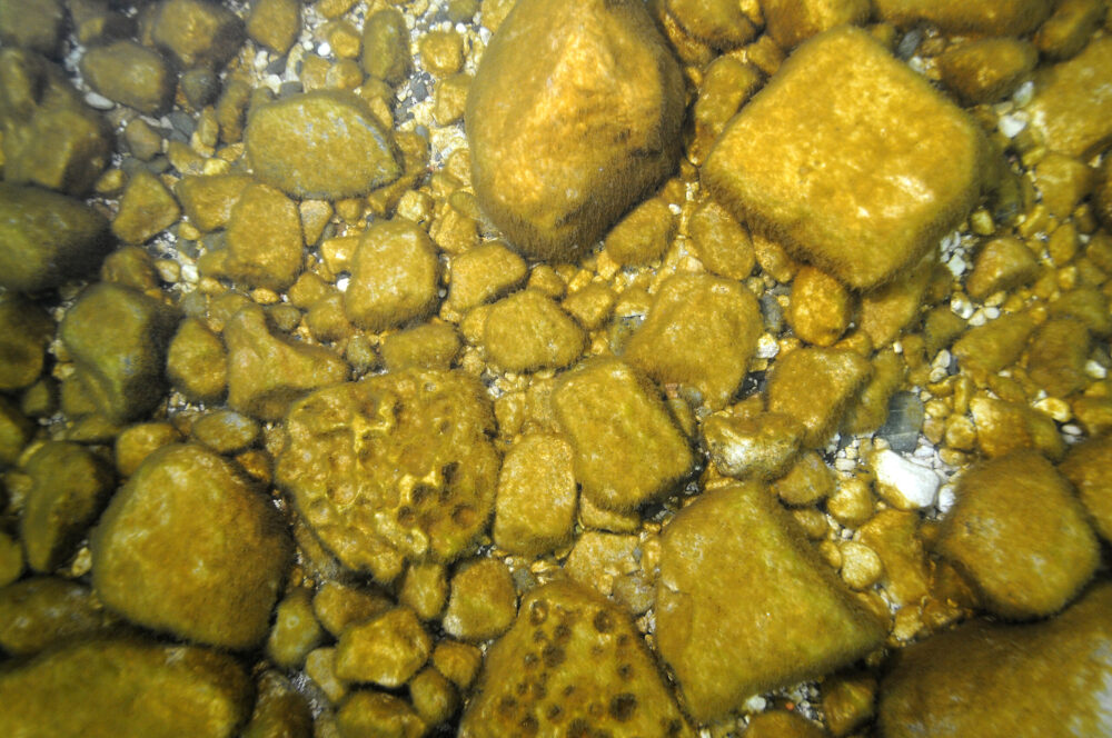 Cobble_dirty