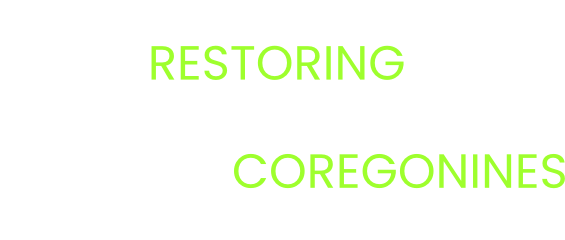 Restoring Great Lakes Coregonines