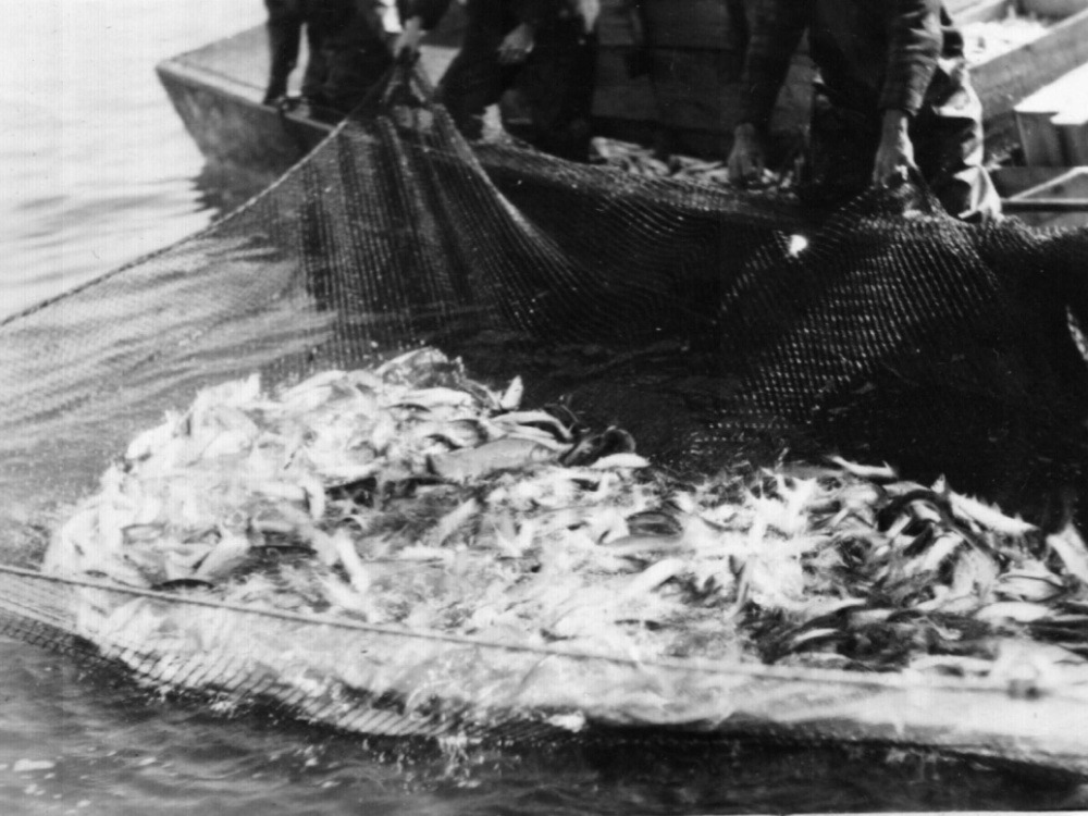 1930_H4_croppedscaled