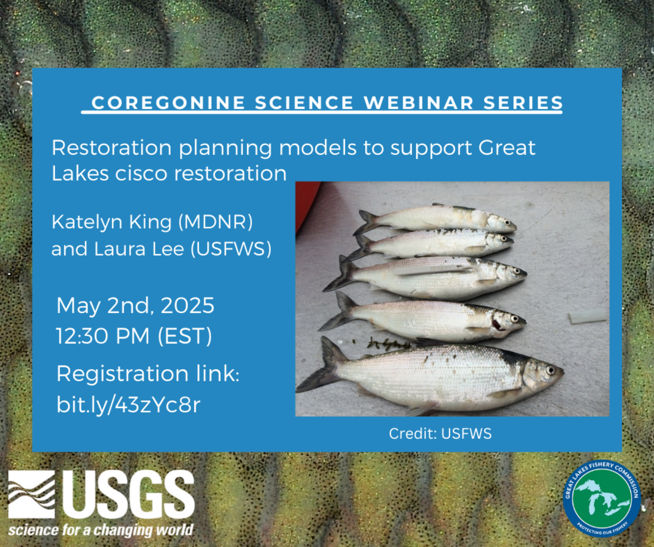 Coregonine Webinar May 2 2025